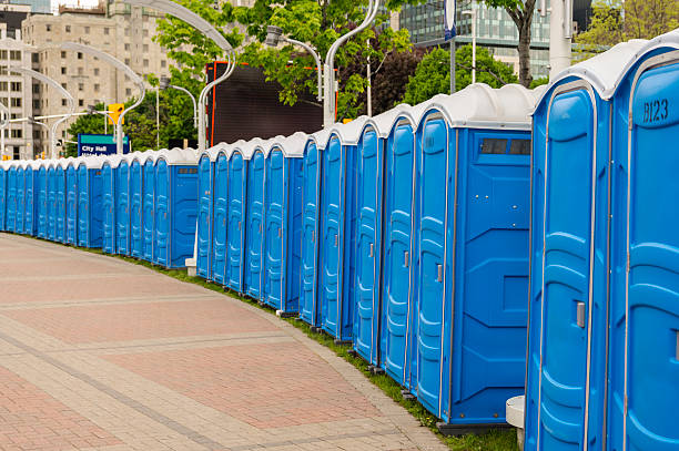 Best Portable Toilet Waste Disposal  in La Grulla, TX